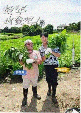 移动影院综艺城市漫游者在线观看